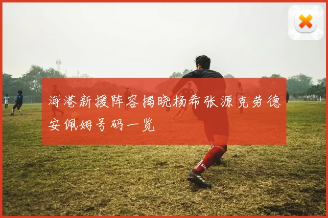 海港新援阵容揭晓杨希张源克劳德安佩姆号码一览
