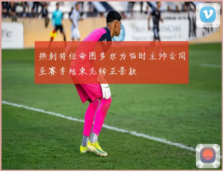 热刺将任命图多尔为临时主帅合同至赛季结束无转正条款