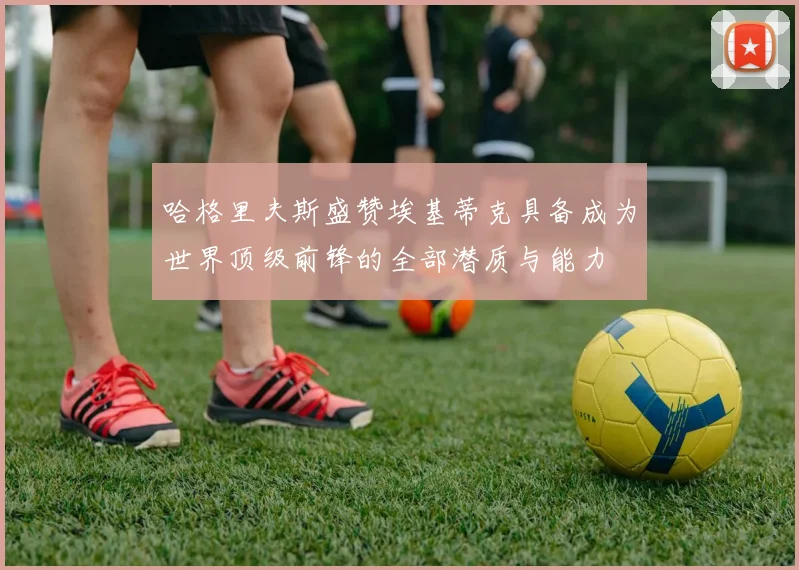 哈格里夫斯盛赞埃基蒂克具备成为世界顶级前锋的全部潜质与能力